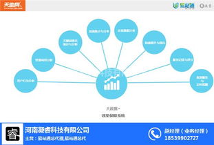 河南洛阳如何借助网络信息技术实现高效网络宣传